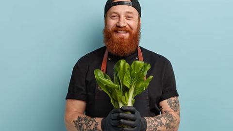 Teaser Pflanzenfresser